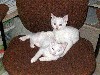 IMG_0525.jpg