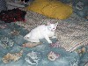 IMG_0563.jpg