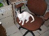 IMG_0564.jpg