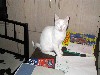 IMG_0565.jpg