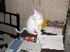 IMG_0566.jpg