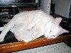 IMG_0582.jpg