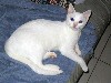 IMG_0604.jpg