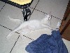 IMG_0605.jpg
