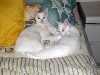 IMG_0611.jpg