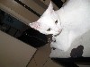 IMG_0622.jpg