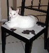 IMG_0623.jpg