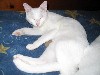 IMG_0647.jpg