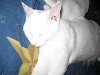 IMG_0648.jpg