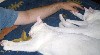 IMG_0649-1.jpg
