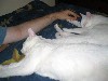 IMG_0650.jpg
