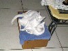 IMG_0654.jpg