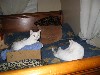 IMG_0655.jpg