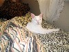 IMG_0694.jpg