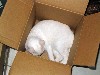 IMG_0702.jpg