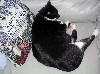 IMG_0298.jpg