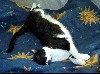 cat8.jpg