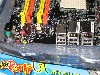 IMG_0706.jpg