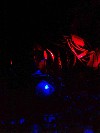 case_lights3.JPG