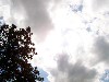 sky.JPG