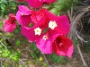 IMG_0186.jpg