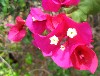 IMG_0187.jpg