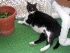 IMG_0192.jpg